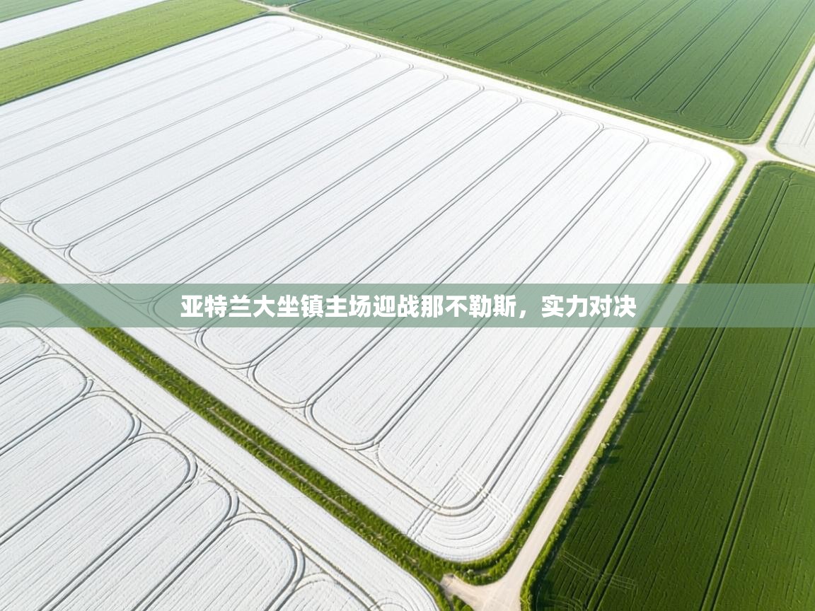 亚特兰大坐镇主场迎战那不勒斯，实力对决  第1张