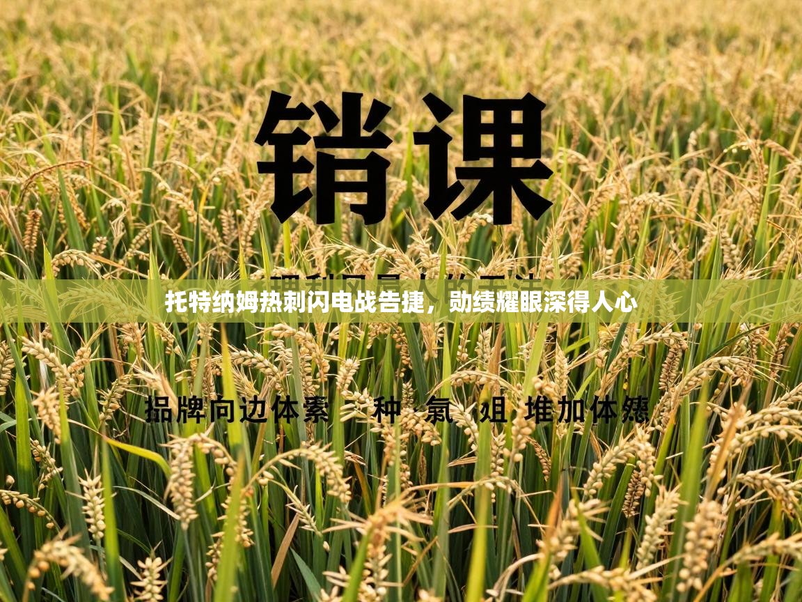 托特纳姆热刺闪电战告捷，勋绩耀眼深得人心  第1张