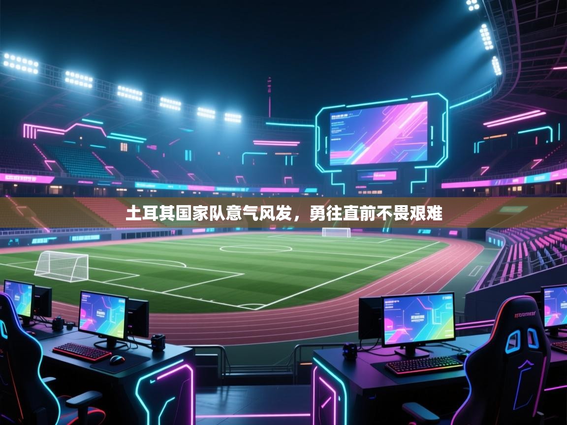 土耳其国家队意气风发，勇往直前不畏艰难  第2张